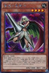 This is an image for the product Rose Paladin that has a rarity of Secret Rare in the Premium Pack 17 with a card code of PP17-JP004 that is available on the TEKKX Product website.