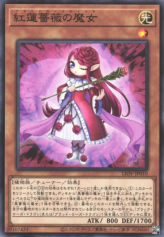 This is an image for the product Ruddy Rose Witch that has a rarity of Common in the Lightning Overdrive with a card code of LIOV-JP010 that is available on the TEKKX Product website.