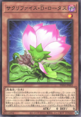 This is an image for the product Samsara D Lotus that has a rarity of Rare in the Phantom Nightmare with a card code of PHNI-JP003 that is available on the TEKKX Product website.