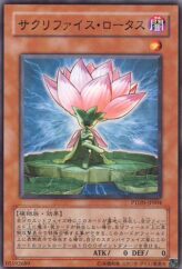 This is an image for the product Samsara Lotus that has a rarity of Common in the Phantom Darkness with a card code of PTDN-JP004 that is available on the TEKKX Product website.