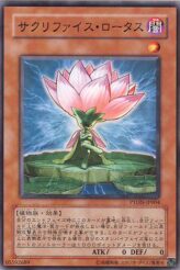 This is an image for the product Samsara Lotus that has a rarity of Common in the Phantom Darkness with a card code of PTDN-JP004 that is available on the TEKKX Product website.