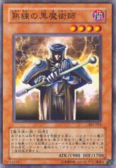 This is an image for the product Skilled Dark Magician that has a rarity of Common in the Structure Deck: Yugi Volume 2 with a card code of SY2-015 that is available on the TEKKX Product website.