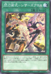 This is an image for the product Sky Striker Maneuver - Scissors Cross that has a rarity of Common in the Selection 5 with a card code of SLF1-JP054 that is available on the TEKKX Product website.