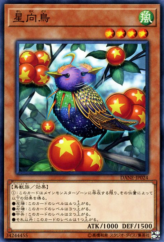 This is an image for the product Star Staring Starling that has a rarity of Common in the Dark Neostorm with a card code of DANE-JP024 that is available on the TEKKX Product website.