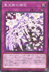 This is an image for the product Sunavalon Bloom that has a rarity of Common in the Selection 10 with a card code of SLT1-JP039 that is available on the TEKKX Product website.