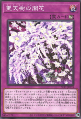 This is an image for the product Sunavalon Bloom that has a rarity of Common in the Selection 10 with a card code of SLT1-JP039 that is available on the TEKKX Product website.