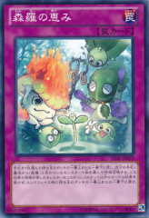 This is an image for the product Sylvan Blessing that has a rarity of Common in the Legacy of the Valiant with a card code of LVAL-JP073 that is available on the TEKKX Product website.