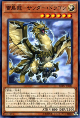 This is an image for the product Thunder Dragonhawk that has a rarity of Common in the Soul Fusion with a card code of SOFU-JP020 that is available on the TEKKX Product website.