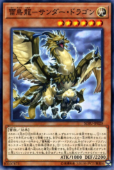 This is an image for the product Thunder Dragonhawk that has a rarity of Common in the Soul Fusion with a card code of SOFU-JP020 that is available on the TEKKX Product website.