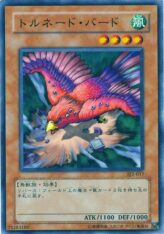 This is an image for the product Tornado Bird that has a rarity of Common in the Structure Deck: Joey Volume 2 with a card code of SJ2-017 that is available on the TEKKX Product website.