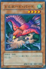 This is an image for the product Tornado Bird that has a rarity of Common in the Structure Deck: Joey Volume 2 with a card code of SJ2-017 that is available on the TEKKX Product website.