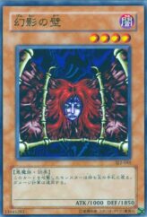 This is an image for the product Wall of Illusion that has a rarity of Common in the Structure Deck: Joey Volume 2 with a card code of SJ2-045 that is available on the TEKKX Product website.