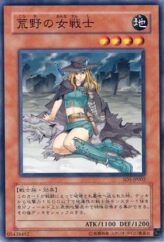 This is an image for the product Warrior Lady of the Wasteland that has a rarity of Common in the Structure Deck: Warrior's Triumph with a card code of SD5-JP002 that is available on the TEKKX Product website.