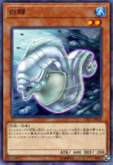 This is an image for the product White Moray that has a rarity of Common in the Collectors Pack 2017 with a card code of CP17-JP018 that is available on the TEKKX Product website.