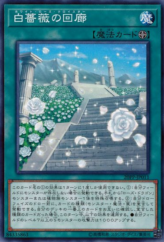 This is an image for the product White Rose Cloister that has a rarity of Common in the Premium Pack 2020 with a card code of 20PP-JP011 that is available on the TEKKX Product website.