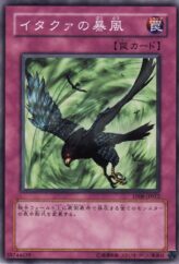 This is an image for the product Windstorm of Etaqua that has a rarity of Common in the Tournament Pack 2008 Vol.4 with a card code of TP08-JP012 that is available on the TEKKX Product website.