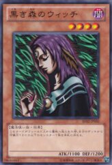 This is an image for the product Witch of the Black Forest that has a rarity of Common in the Beginner's Edition 2 (2011) with a card code of BE02-JP050 that is available on the TEKKX Product website.