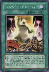 This is an image for the product Wonder Clover that has a rarity of Common in the Raging Battle with a card code of RGBT-JP049 that is available on the TEKKX Product website.