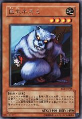 This is an image for the product Giant Rat that has a rarity of Rare in the Beginner's Edition 1 with a card code of BE1-JP045 that is available on the TEKKX Product website.