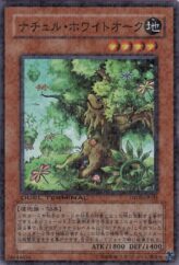 This is an image for the product Naturia White Oak that has a rarity of Duel Terminal Super Parallel Rare in the Duel Terminal - Pulse of the Trishula!! with a card code of DT08-JP031 that is available on the TEKKX Product website.