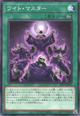 This is an image for the product Wight Master that has a rarity of Common in the Alliance Insight with a card code of ALIN-JP065 that is available on the TEKKX Product website.