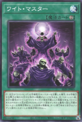 This is an image for the product Wight Master that has a rarity of Common in the Alliance Insight with a card code of ALIN-JP065 that is available on the TEKKX Product website.