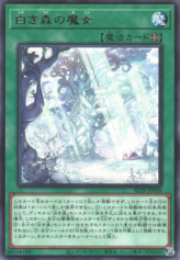 This is an image for the product Witches of the White Forest that has a rarity of Rare in the Alliance Insight with a card code of ALIN-JP058 that is available on the TEKKX Product website.