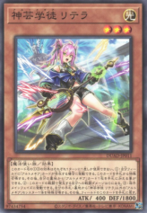 This is an image for the product Artmegia Litera that has a rarity of Common in the Duelist's Advance with a card code of DUAD-JP011 that is available on the TEKKX Product website.