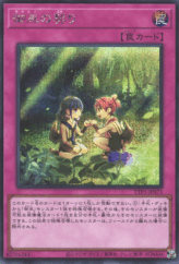 This is an image for the product Mikanko Promise that has a rarity of Secret Rare in the Tactical-Try Pack: Dark Magic / HERO / Mikanko with a card code of TTP1-JP073 that is available on the TEKKX Product website.
