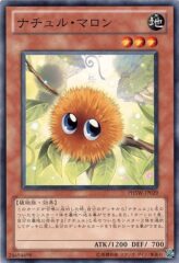 This is an image for the product Naturia Marron that has a rarity of Common in the Photon Shockwave with a card code of PHSW-JP029 that is available on the TEKKX Product website.