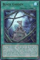 This is an image for the product Black Garden that has a rarity of Ultra Rare in the Creation Pack 09 with a card code of CR09-AE043 that is available on the TEKKX Product website.