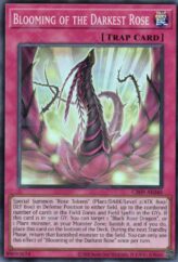 This is an image for the product Blooming of the Darkest Rose that has a rarity of Super Rare in the Creation Pack 09 with a card code of CR09-AE048 that is available on the TEKKX Product website.