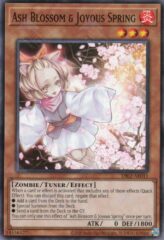 This is an image for the product Ash Blossom & Joyous Spring that has a rarity of Common in the Duel-Ignition Deck: Swordsoul with a card code of DI02-AE011 that is available on the TEKKX Product website.