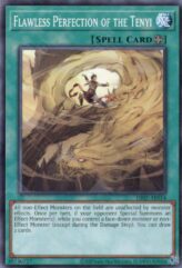 This is an image for the product Flawless Perfection of the Tenyi that has a rarity of Common in the Duel-Ignition Deck: Swordsoul with a card code of DI02-AE014 that is available on the TEKKX Product website.
