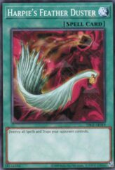 This is an image for the product Harpie's Feather Duster that has a rarity of Common in the Duel-Ignition Deck: Swordsoul with a card code of DI02-AE019 that is available on the TEKKX Product website.