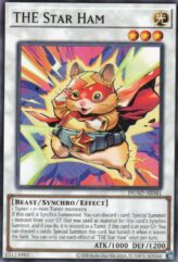 This is an image for the product THE Star Ham that has a rarity of Common in the Duelist's Advance with a card code of DUAD-AE041 that is available on the TEKKX Product website.