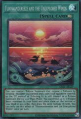 This is an image for the product Floowandereeze and the Unexplored Winds that has a rarity of Super Rare in the Creation Pack 05 with a card code of CR05-AE157 that is available on the TEKKX Product website.
