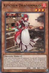 This is an image for the product Kitchen Dragonmaid that has a rarity of Common in the Selection 5: Quarter Century Edition with a card code of SLF1-AE067 that is available on the TEKKX Product website.
