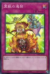 This is an image for the product Advanced Ritual Art that has a rarity of Normal Parallel Rare in the 20th Anniversary Pack 1st Wave with a card code of 20AP-JP039 that is available on the TEKKX Product website.
