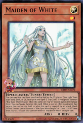 This is an image for the product Amazoness Hall that has a rarity of Normal Parallel Rare in the Animation Chronicle 2022 with a card code of AC02-JP038 that is available on the TEKKX Product website.