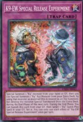 This is an image for the product K9-EW Special Release Experiment that has a rarity of Common in the Deck-Build Pack: Justice Hunters with a card code of DBJH-AE041 that is available on the TEKKX Product website.