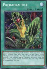 This is an image for the product Predapractice that has a rarity of Common in the Creation Pack 11 with a card code of CR11-AE050 that is available on the TEKKX Product website.